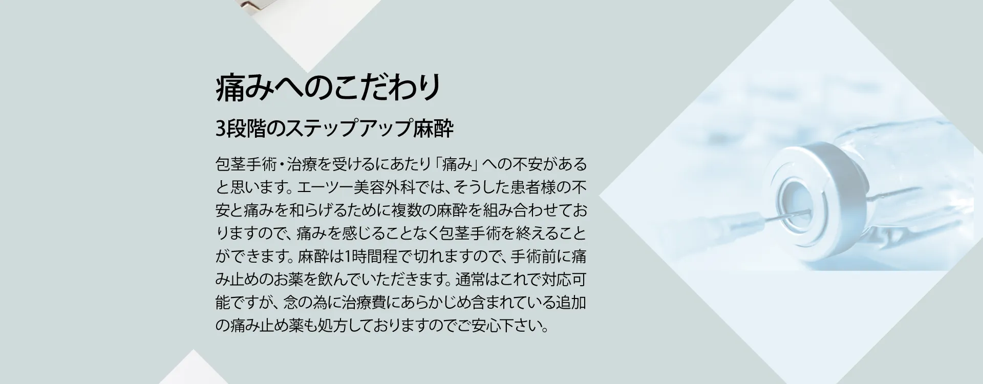 **** イメージ画像 